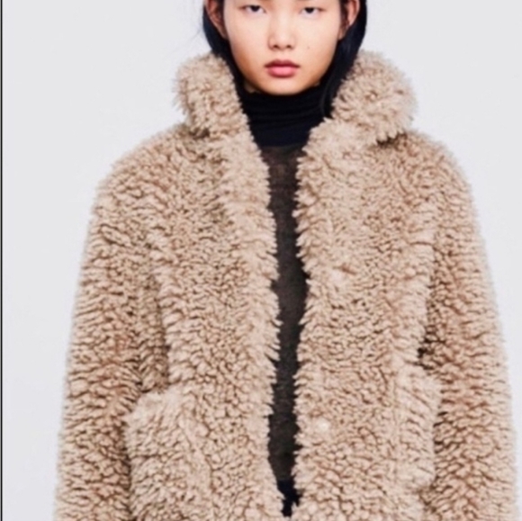Zara Jackets & Blazers - Zara Basic | Shaggy Faux Fur Teddy Jacket